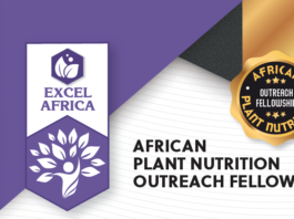 African Plant Nutrition Outreach Fellowship Award 2024